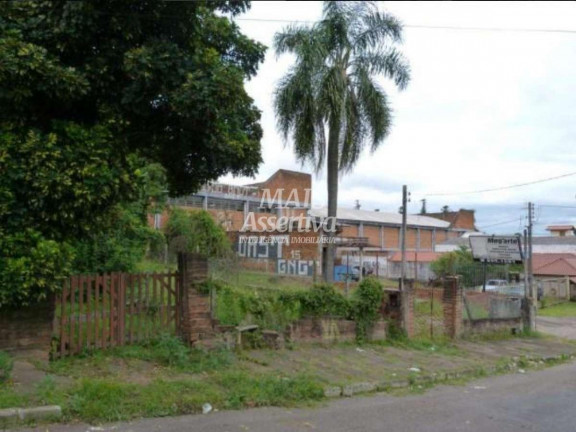 Foto do imóvel Terreno à Venda, 300 m² em Rondônia - Novo Hamburgo