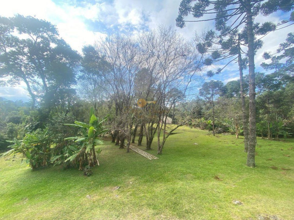 Imagem Casa com 5 Quartos à Venda, 250 m² em Iucas - Teresópolis Imagem Casa com 5 Quartos à Venda, 250 m² em Iucas - Teresópolis