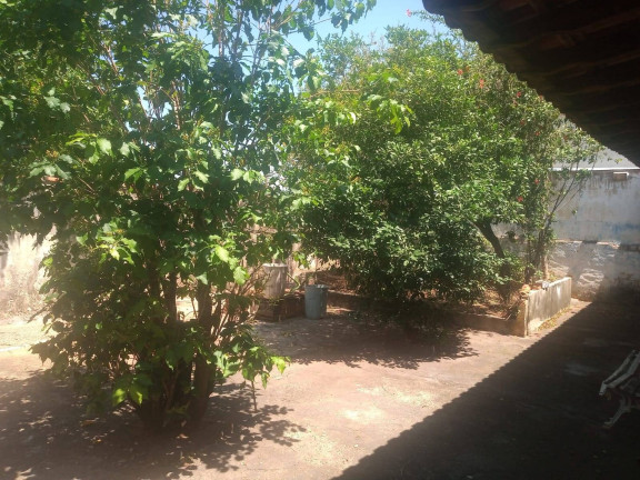 Imagem Casa com 3 Quartos à Venda, 396 m² em Jardim América - Bauru Imagem Casa com 3 Quartos à Venda, 396 m² em Jardim América - Bauru