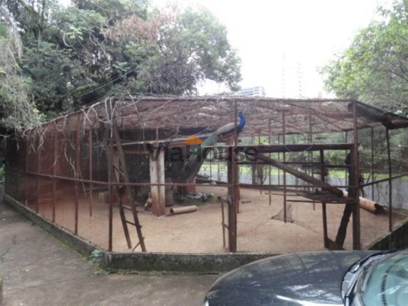 Imagem Chácara com 4 Quartos à Venda, 13.888 m² em Jardim Sao Luiz - Ribeirão Preto