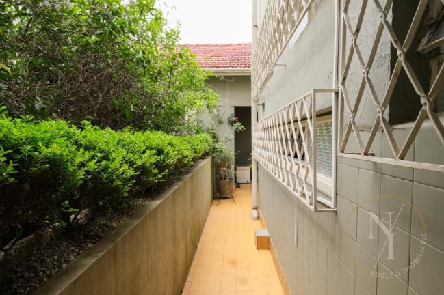 Imagem Casa com 3 Quartos à Venda, 261 m² em Jardim Paulistano - São Paulo