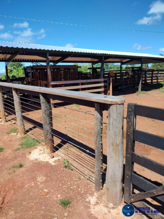 Imagem Fazenda à Venda, 105 m² em Zona Rural - Fazenda Nova Imagem Fazenda à Venda, 105 m² em Zona Rural - Fazenda Nova