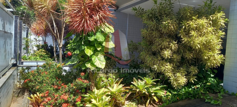 Imagem Imóvel com 2 Quartos à Venda, 80 m² em Algodoal - Cabo Frio Imagem Imóvel com 2 Quartos à Venda, 80 m² em Algodoal - Cabo Frio