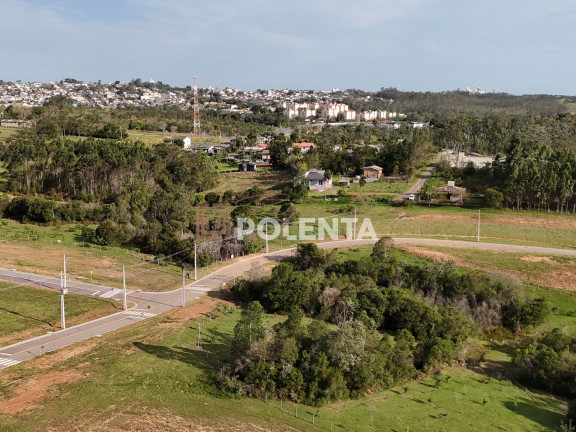 Imagem Terreno à Venda, 360 m² em Mina Do Mato - Criciúma