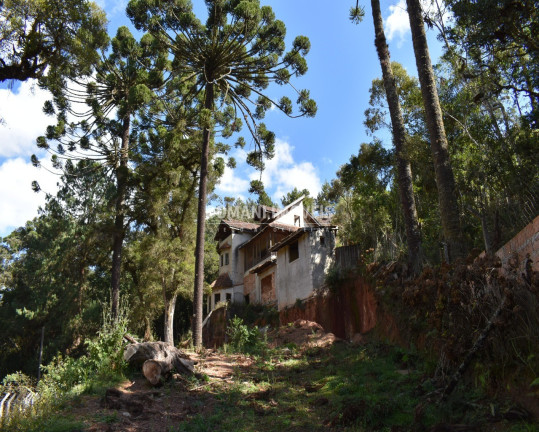 Imagem Casa com 4 Quartos à Venda, 200 m² em Região De Descansópolis - Campos Do Jordão Imagem Casa com 4 Quartos à Venda, 200 m² em Região De Descansópolis - Campos Do Jordão