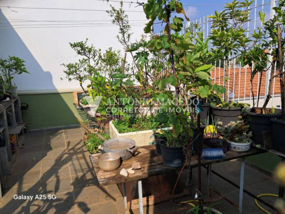 Imagem Casa com 4 Quartos à Venda, 280 m² em Vila Mariana - São Paulo