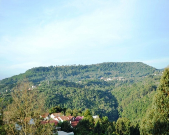 Imagem Imóvel com 3 Quartos à Venda, em Pousada Da Neve - Nova Petrópolis Imagem Imóvel com 3 Quartos à Venda, em Pousada Da Neve - Nova Petrópolis