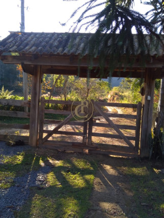 Imagem Chácara com 2 Quartos à Venda, 100 m² em Pedra Branca - Monteiro Lobato