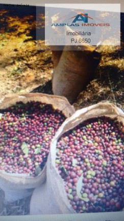 Imagem Fazenda à Venda, 35 m² em Manhumirim