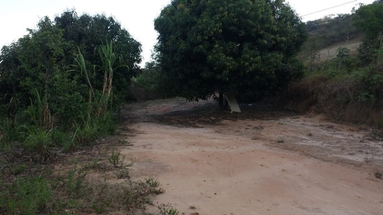 Imagem Chácara à Venda, em Granjas Rurais Reunidas São Judas Tadeu - Taubaté Imagem Chácara à Venda, em Granjas Rurais Reunidas São Judas Tadeu - Taubaté