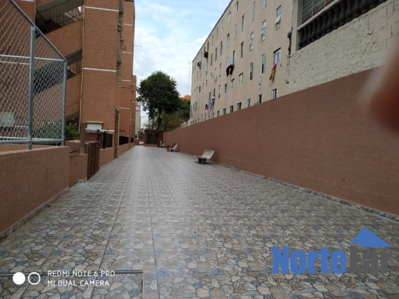Imagem Apartamento com 3 Quartos à Venda, 56 m² em Conjunto Residencial Elisio Teixeira Leite - São Paulo Imagem Apartamento com 3 Quartos à Venda, 56 m² em Conjunto Residencial Elisio Teixeira Leite - São Paulo