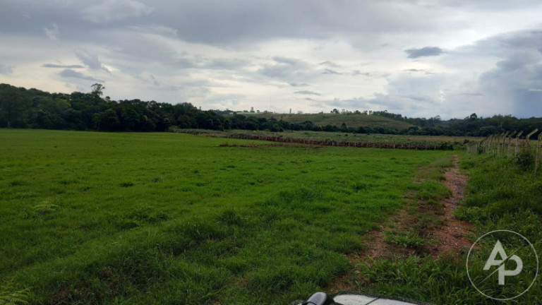 Imagem Terreno à Venda, 81.332 m² em Colônia Dona Luíza - Ponta Grossa