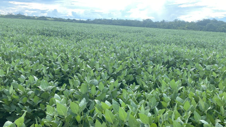 Imagem Fazenda à Venda, 963 m² em Rural - Rosário Oeste
