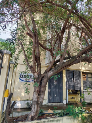 Imagem Casa com 6 Quartos à Venda, 250 m² em São Francisco Xavier - Rio De Janeiro