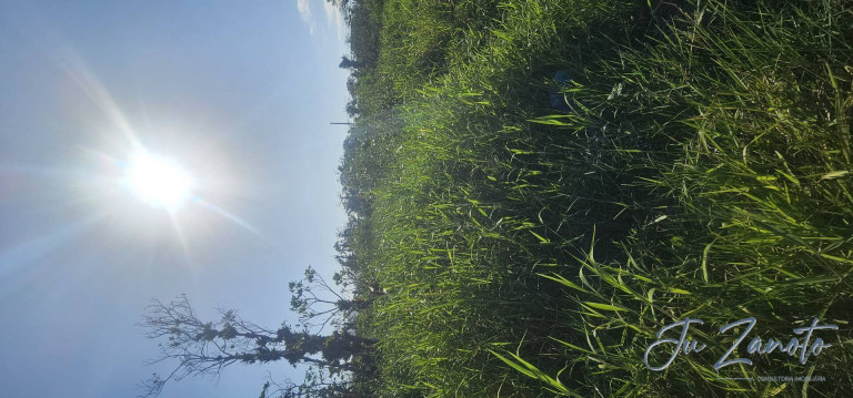 Imagem Terreno à Venda, 450 m² em Balneário Praia Grande - Matinhos Imagem Terreno à Venda, 450 m² em Balneário Praia Grande - Matinhos