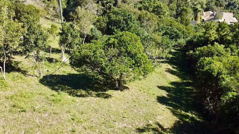 Imagem Terreno à Venda, 899 m² em Praia Da Silveira - Garopaba
