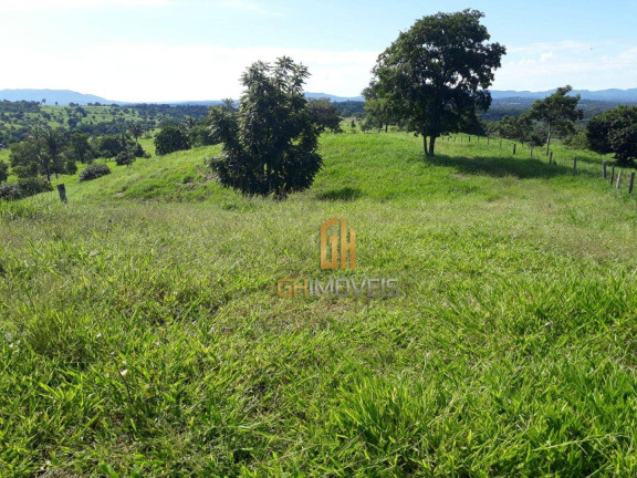 Imagem Chácara à Venda, 338.800 m² em Area Rural - Novo Brasil Imagem Chácara à Venda, 338.800 m² em Area Rural - Novo Brasil