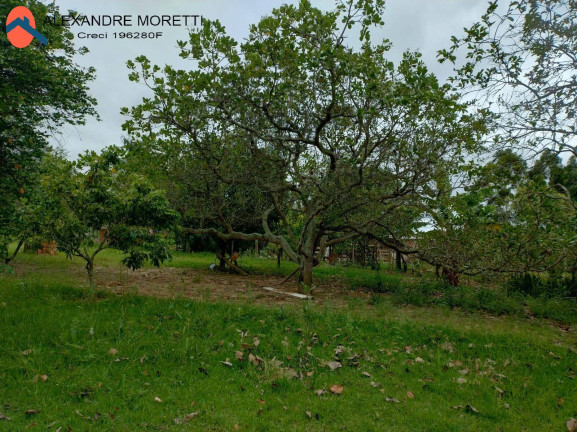 Imagem Chácara com 3 Quartos à Venda, 5.000 m² em Fazenda Oeste 1 - Araçoiaba Da Serra Imagem Chácara com 3 Quartos à Venda, 5.000 m² em Fazenda Oeste 1 - Araçoiaba Da Serra