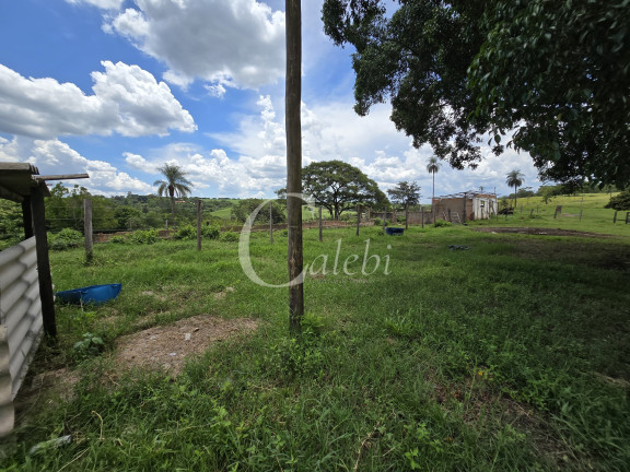 Imagem Chácara com 3 Quartos à Venda, 11 m² em Martinho Prado Junior - Mogi Guaçu Imagem Chácara com 3 Quartos à Venda, 11 m² em Martinho Prado Junior - Mogi Guaçu