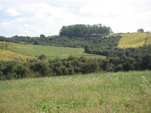 Imagem Imóvel à Venda, 435.600 m² em Zona Rural - Jacui