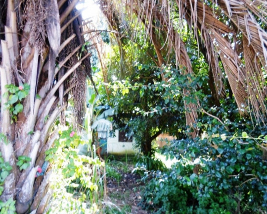 Imagem Imóvel com 4 Quartos à Venda, em Mathias Velho - Canoas Imagem Imóvel com 4 Quartos à Venda, em Mathias Velho - Canoas