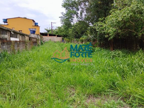 Terreno à Venda, 600 m² em Estufa Ii - Ubatuba