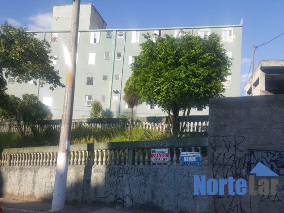 Imagem Apartamento com 3 Quartos à Venda, 60 m² em Conjunto Residencial Elisio Teixeira Leite - São Paulo Imagem Apartamento com 3 Quartos à Venda, 60 m² em Conjunto Residencial Elisio Teixeira Leite - São Paulo