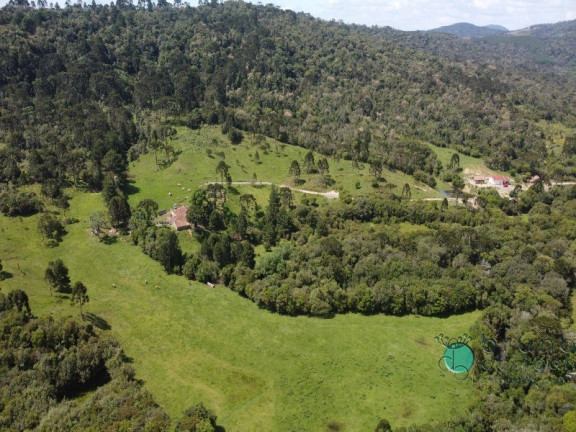 Imagem Imóvel com 2 Quartos à Venda, 500.000 m² em Interior - Otacílio Costa Imagem Imóvel com 2 Quartos à Venda, 500.000 m² em Interior - Otacílio Costa