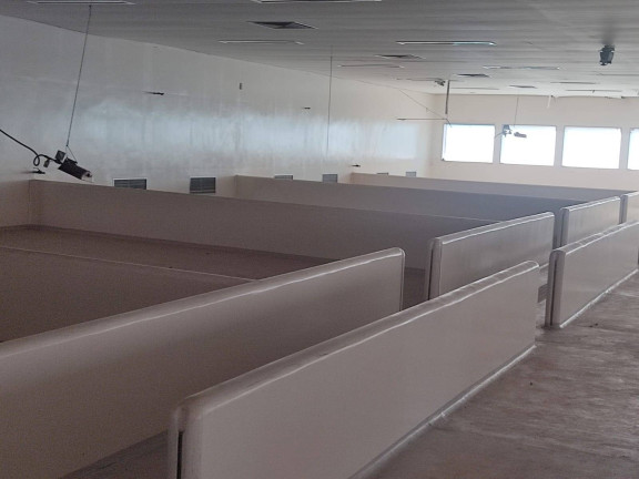 Imagem Chácara com 4 Quartos à Venda, 850 m² em Itarassú - Capela Do Alto Imagem Chácara com 4 Quartos à Venda, 850 m² em Itarassú - Capela Do Alto