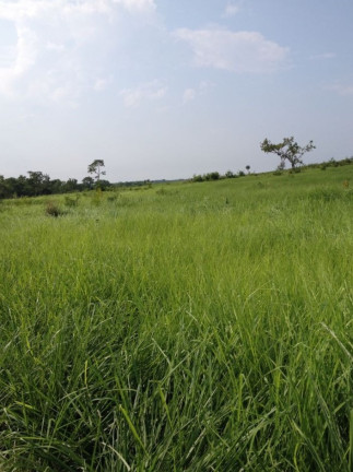 Imagem Imóvel à Venda,  em Natividade/to - Natividade