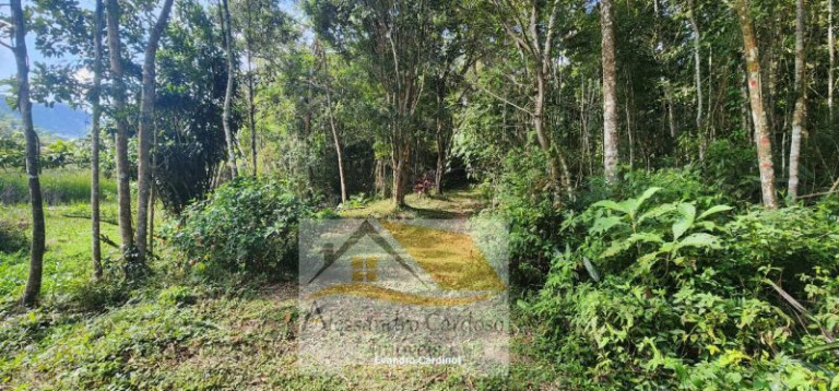 Imagem Terreno à Venda, 23 m² em Mury - Nova Friburgo Imagem Terreno à Venda, 23 m² em Mury - Nova Friburgo