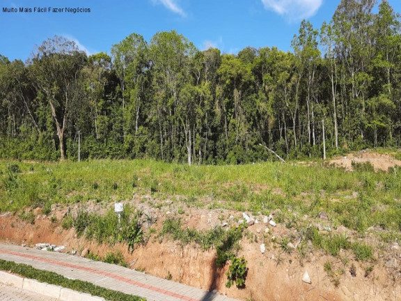 Terreno à Venda, 360 m² em Linha Imperial - Nova Petrópolis