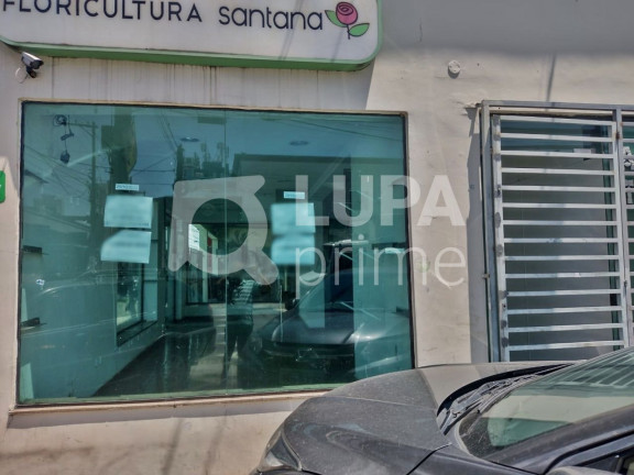 Imagem Casa com 3 Quartos à Venda, 220 m² em Santana - São Paulo Imagem Casa com 3 Quartos à Venda, 220 m² em Santana - São Paulo