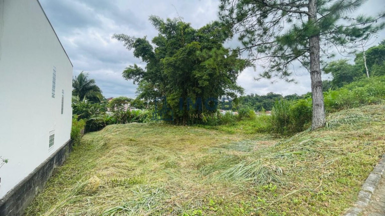 Imagem Terreno à Venda, 600 m² em Tifa Martins - Jaraguá Do Sul