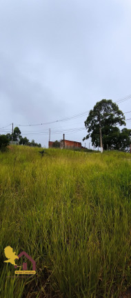 Imagem Terreno à Venda, 144 m² em Chácara São Luiz - Franco Da Rocha Imagem Terreno à Venda, 144 m² em Chácara São Luiz - Franco Da Rocha