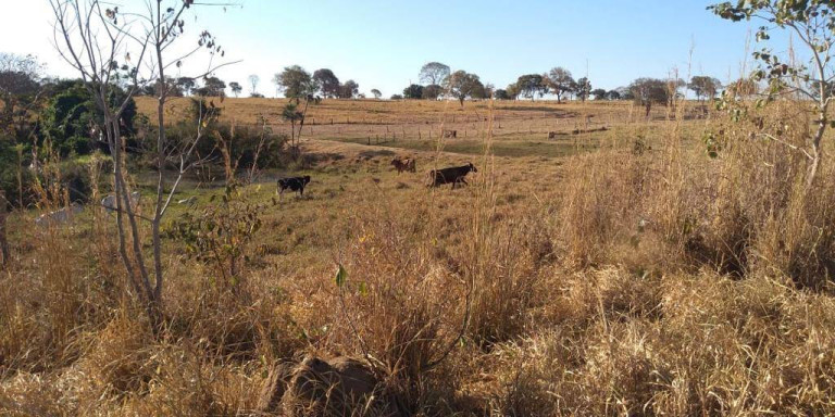 Imagem Fazenda à Venda, 121 m² em Zona Rural - Montes Claros De Goiás Imagem Fazenda à Venda, 121 m² em Zona Rural - Montes Claros De Goiás