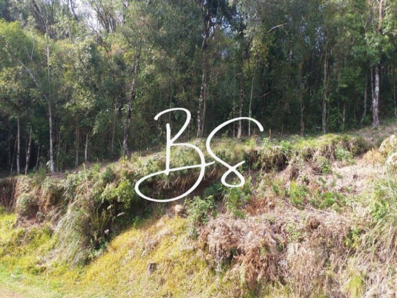 Imagem Terreno à Venda, 625 m² em Vale Dos Pinheiros - Gramado Imagem Terreno à Venda, 625 m² em Vale Dos Pinheiros - Gramado