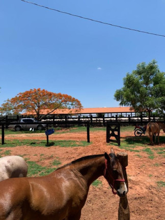 Imagem Fazenda à Venda, 4.530 m² em Rural - Camapuã