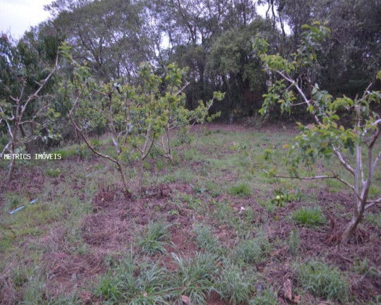 Imagem Imóvel à Venda, 5.000 m² em São José Da Pedra Santa - Jundiaí Imagem Imóvel à Venda, 5.000 m² em São José Da Pedra Santa - Jundiaí