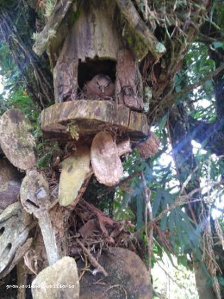 Imagem Chácara à Venda, em Centro - Ibiúna Imagem Chácara à Venda, em Centro - Ibiúna