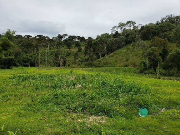 Imagem Imóvel com 3 Quartos à Venda, 350.000 m² em Zona Rural - Bom Retiro Imagem Imóvel com 3 Quartos à Venda, 350.000 m² em Zona Rural - Bom Retiro