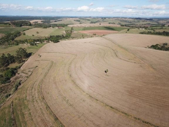 Imagem Fazenda à Venda, 38 m² em Rural - Itapetininga