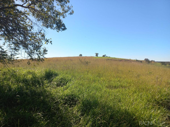 Imagem Fazenda à Venda, 10.000.000 m² em Zona Rural - Camapuã Imagem Fazenda à Venda, 10.000.000 m² em Zona Rural - Camapuã