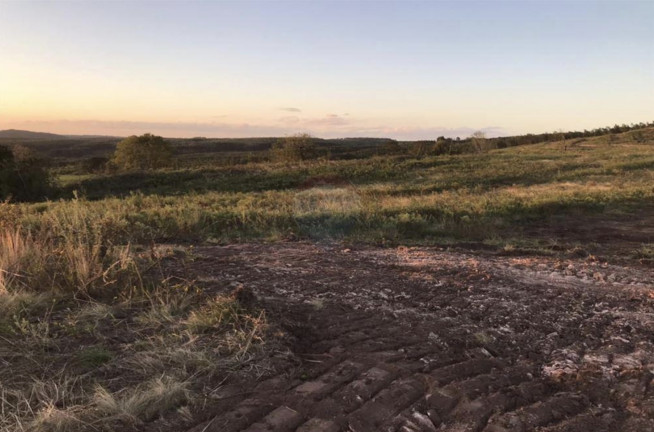 Imagem Fazenda à Venda, 825.000 m² em Zona Rural - Encruzilhada Do Sul Imagem Fazenda à Venda, 825.000 m² em Zona Rural - Encruzilhada Do Sul