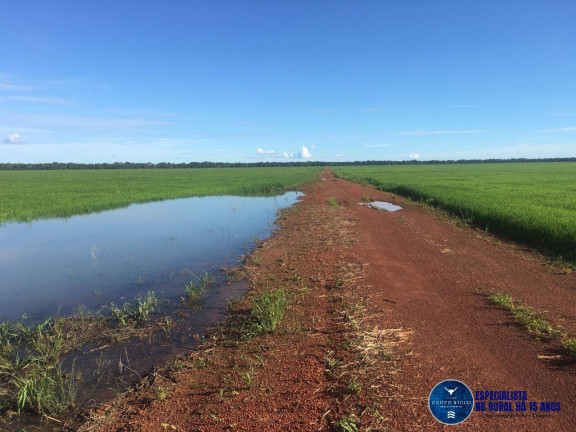 Imagem Fazenda à Venda, 1 m² em Zona Rural - Lagoa Da Confusão Imagem Fazenda à Venda, 1 m² em Zona Rural - Lagoa Da Confusão