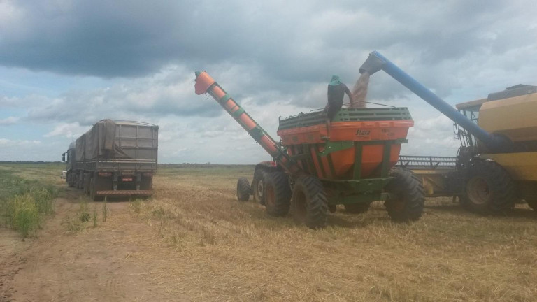 Imagem Fazenda à Venda, 910 m² em Rural - São Francisco Do Maranhão