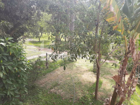 Imagem Chácara com 4 Quartos à Venda, 250 m² em Varjao - Paraibuna Imagem Chácara com 4 Quartos à Venda, 250 m² em Varjao - Paraibuna