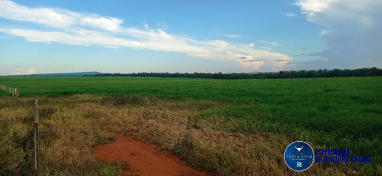 Imagem Fazenda à Venda, 86 m² em Zona Rural - Montes Claros De Goiás Imagem Fazenda à Venda, 86 m² em Zona Rural - Montes Claros De Goiás