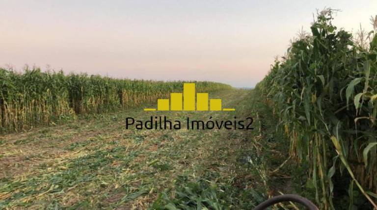 Imagem Fazenda à Venda, 87 m² em Sorocaba Imagem Fazenda à Venda, 87 m² em Sorocaba