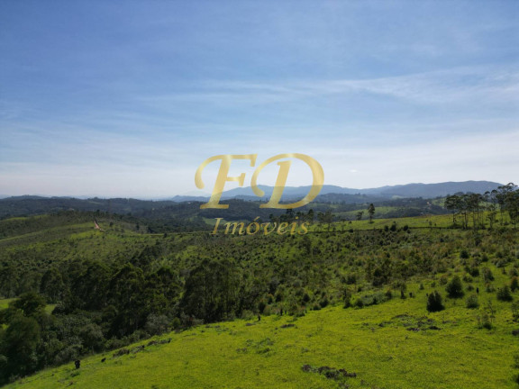 Imagem Imóvel Comercial à Venda, 380.000 m² em Terra Preta - Mairiporã Imagem Imóvel Comercial à Venda, 380.000 m² em Terra Preta - Mairiporã